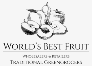 World War 1: A History From Beginning