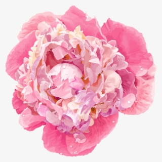 Cartoon Peony