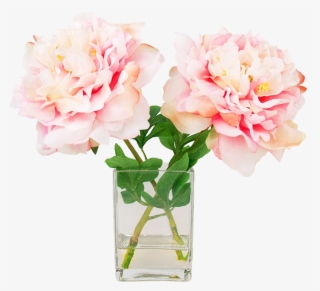 Blushing Peony | Floral Flowers | Creative Designs