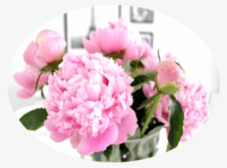Go To Image - Peony