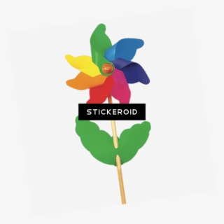 Peony Pic Flowers Nature