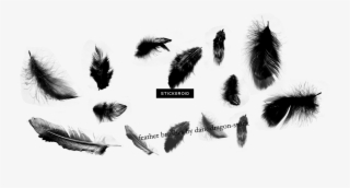 Feather Hd - Vampire Diaries Damon Sticker