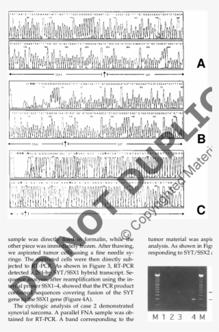 Cases 1 - Ssx1