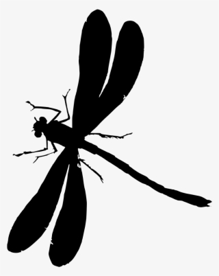 Download Png - Dragonfly Vector
