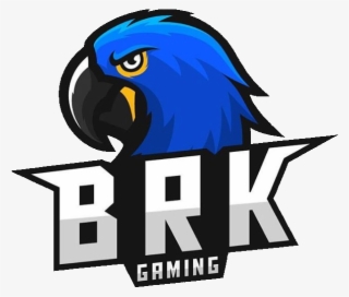 Brazilian Killers Gaming - Pubg Mobile