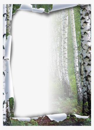 Pin By Kim Reed On Scrap - Frames Tubes Png Zezete2 Centerblog Net Rub Cadres