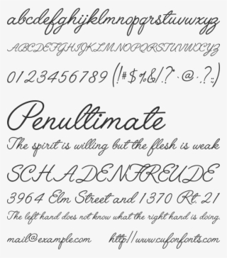 Angelface - Decor Designs Decals Sisters Are Different Quote Wall