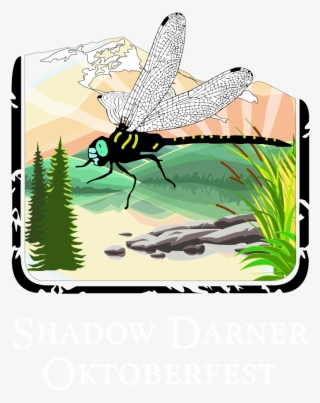 Shadow Darner Oktoberfest 25 Ibu/7 - Shadow Darner