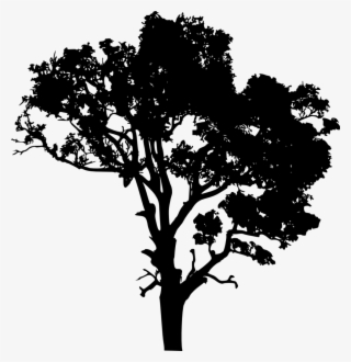 20 Tree Silhouette Vol - Portable Network Graphics