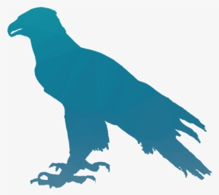 Eagle Silhouette Clipart Bald Eagle Clip Art