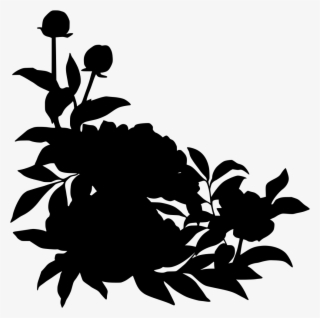 Download Png - Peony