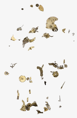 He'd Been About To Get Back In His Car When He Found - Sea Turtle