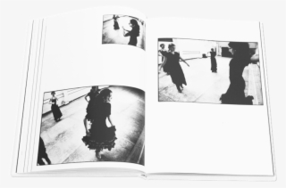 Books Flamenco 5 - Flamenco: Dance Class