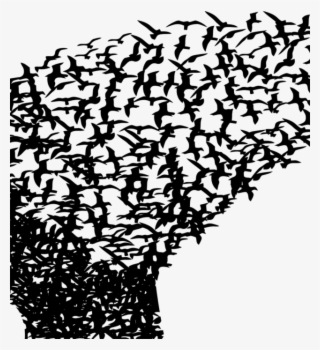 Overdose, Pharmaceutical Research, Prescription Drug - Health