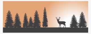 Forest, Forest Sunset Deer Nature Landscape Scenic - Deer Forest Silhouette