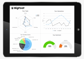 Bigfoot Digital Footprint Rh Bigfoot Ie Bigfoot Footprint - Bigfoot
