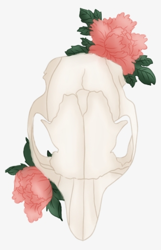 Two New T-shirt Designs Available On My Redbubble And - Squirrel