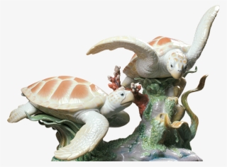 Tortugas 2