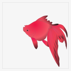 I - Christliches Symbol Der Fisch