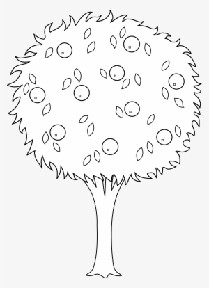 Apple Drawing Banana - Orange Tree Black And White