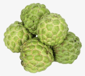Custard Apple