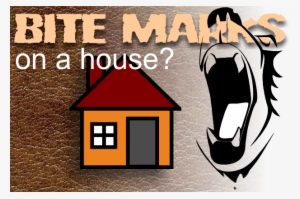 Just Exactly What Was Trying To Break Into A Cannon - Murfreesboro