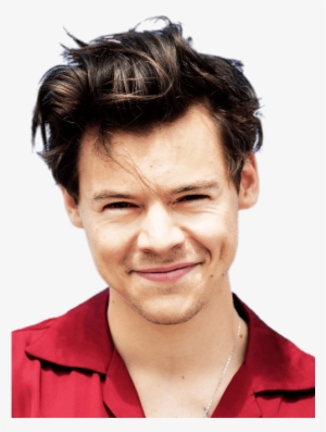 Music Stars - Harry Styles Camisa Roja