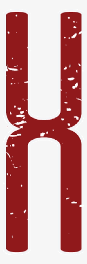 We Value And Respect Diversity Of Gender, Sexual Orientation,