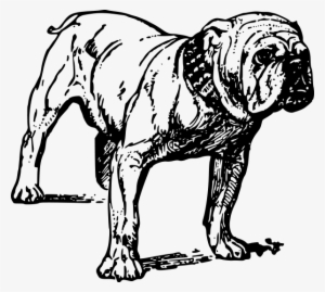 Bulldog Clipart Png