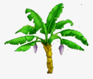 Banana Tree Stage 1 - Png Images Of Banana Tree