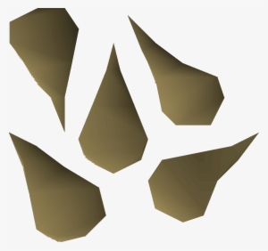 Banana Tree Seed Detail - Wiki