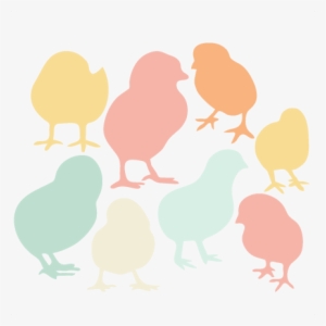 Baby Chick Silhouette Set Svg Scrapbook Title Cat Svg - Baby Chicks Svg