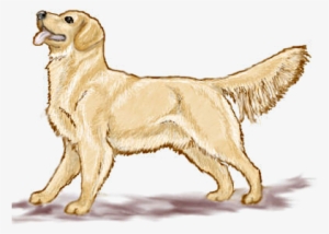 Puppy Clipart Realistic - Golden Retriever Clipart Free