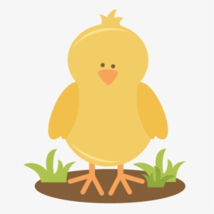 Chick Transparent Spring Vector Free Stock - Miss Kate Cuttables Spring