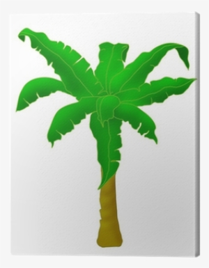 Planta De Banano