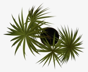 Free Png Plant Png Images Transparent - Vegetación En Planta Png