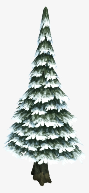 Image Evergreen Runescape Wiki - Pinos Con Nieve Png