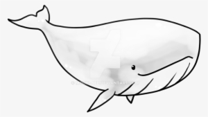 Transparent Whale By Eiocia On Deviantart - Blue Whale
