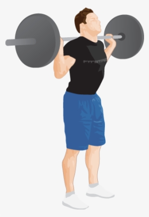 The - Barbell Squat Png
