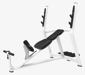 Small Tilting Bench For Barbell - Weightlifting Machine