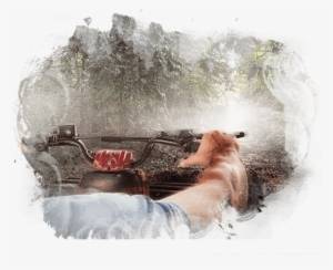 Enter The Mayan Jungle - Boca Del Puma