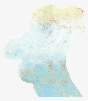 Official Home Of The Head Tooth Fairy, Teeth Fairies - Sock