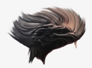 Hair Png Photo Images And Clipart