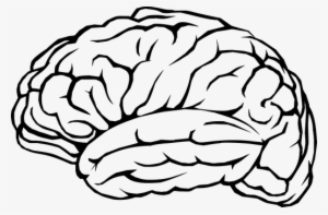 Brain Outline Png Png Black And White Library - Brain Png