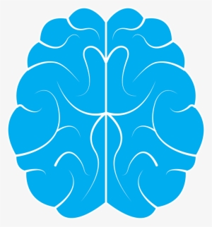 Clipart Brain Transparent Background - Cerveau Icone