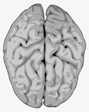 This Free Icons Png Design Of Grey Brain