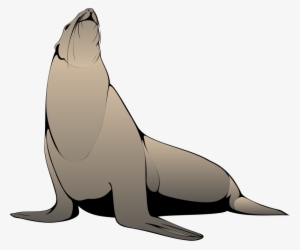 Sea Lion Clipart Png