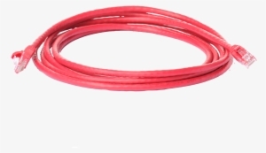 3 Meter Cat6 Ethernet Patch Cord - Electrical Cable