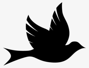 Logo Logo Logo Logo Logo - Peace Of Mind Text