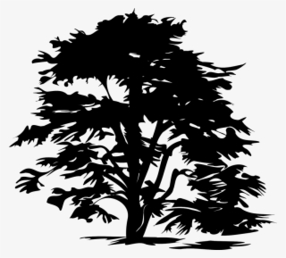 Sombra Arbol Png - Tree Clipart Black